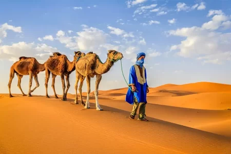 Desert Discovery: 3 Days Marrakech to Merzouga