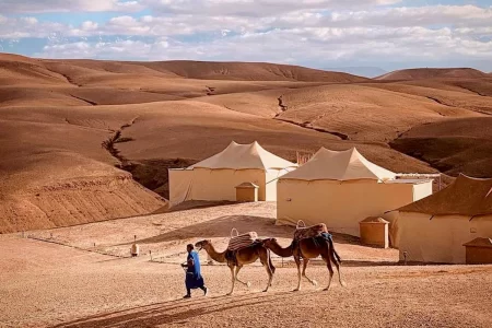 Agafay Desert: Sunset Camel Ride & Dinner
